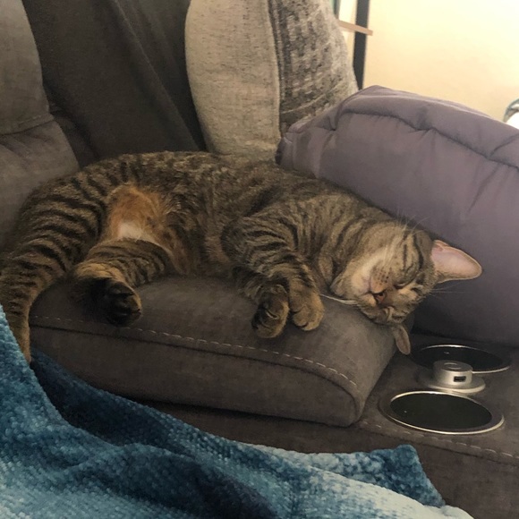 Meet your Posher, Michaela - Picture 1 of 1